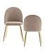 Wohnling design eetkamerstoel set van 2 velours beige gestoffeerd | Keukenstoelstof met gouden poten | Schelpstoel Scandinavisch | Gestoffeerde stoel met fluwelen bekleding