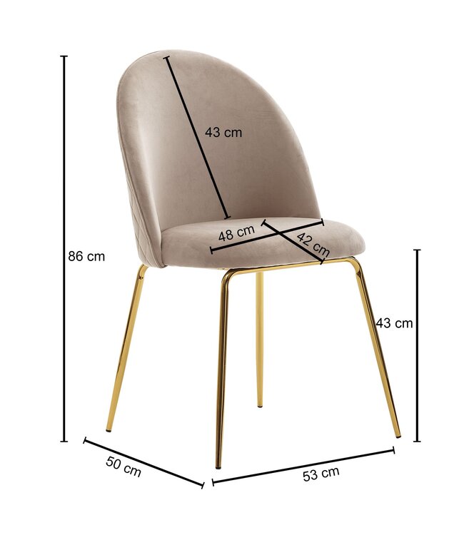 Wohnling design eetkamerstoel set van 2 velours beige gestoffeerd | Keukenstoelstof met gouden poten | Schelpstoel Scandinavisch | Gestoffeerde stoel met fluwelen bekleding