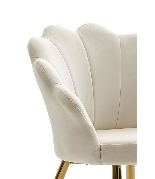 Wohnling eetkamerstoel tulip velvet wit gestoffeerd | Keukenstoel met goudkleurige poten | Shell stoel Scandinavisch design | Gestoffeerde stoel met stoffen bekleding