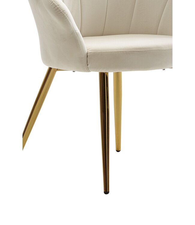 Wohnling eetkamerstoel tulip velvet wit gestoffeerd | Keukenstoel met goudkleurige poten | Shell stoel Scandinavisch design | Gestoffeerde stoel met stoffen bekleding