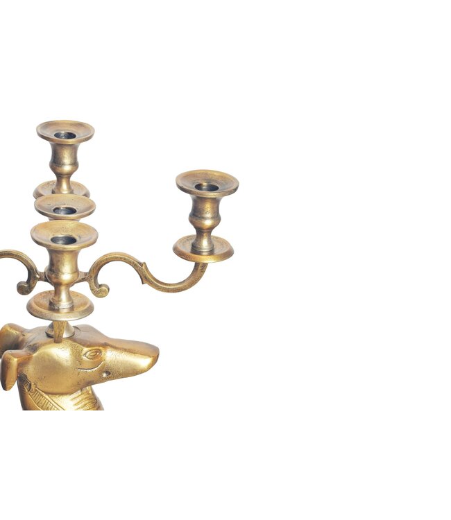Wohnling Kaarsenhouder Greyhound Aluminium Goud 69 cm 5-armige kandelaar, metalen kandelaar voor vijf kaarsen, vloerkaarsenhouder modern, woonaccessoire hond