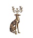 Wohnling Kaarsenhouder Greyhound Aluminium Goud 69 cm 5-armige kandelaar, metalen kandelaar voor vijf kaarsen, vloerkaarsenhouder modern, woonaccessoire hond