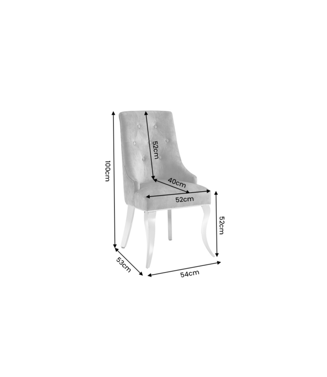 Invicta Interior Chair MODERN BAROCK DELUXE w/ silver legs and lion´s head velvet grey