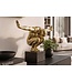 Invicta Interior Decoratiefiguur HIGH DIVER 50cm goud - 70089