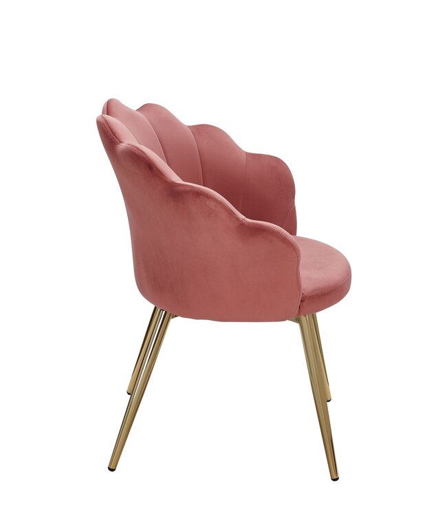 Wohnling dining  tulp fluweel roze gestoffeerd | Keukenstoel met goudkleurige poten | Schelpstoel Scandinavisch design | Gestoffeerde stoel met stoffen bekleding