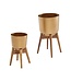 Wohnling Bloempot Set van 2 Metalen / Massief Houten Plantenbakken Goud met Voetjes | Design Plantenbak Rond