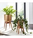 Wohnling Bloempot Set van 2 Metalen / Massief Houten Plantenbakken Goud met Voetjes | Design Plantenbak Rond