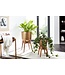 Wohnling Bloempot Set van 2 Metalen / Massief Houten Plantenbakken Goud met Voetjes | Design Plantenbak Rond