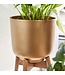 Wohnling Bloempot Set van 2 Metalen / Massief Houten Plantenbakken Goud met Voetjes | Design Plantenbak Rond