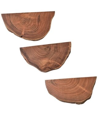 Wohnling Wandplanken Set van 3 Acacia Massief Houten Hangplanken Boomschijf | Natuurlijke plantentrap voor aan de muur | Zwevende plank hangend met boomrand | Bloemtrap boomstam modern