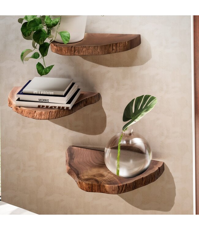 Wohnling Wandplanken Set van 3 Acacia Massief Houten Hangplanken Boomschijf | Natuurlijke plantentrap voor aan de muur | Zwevende plank hangend met boomrand | Bloemtrap boomstam modern