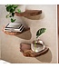 Wohnling Wandplanken Set van 3 Acacia Massief Houten Hangplanken Boomschijf | Natuurlijke plantentrap voor aan de muur | Zwevende plank hangend met boomrand | Bloemtrap boomstam modern