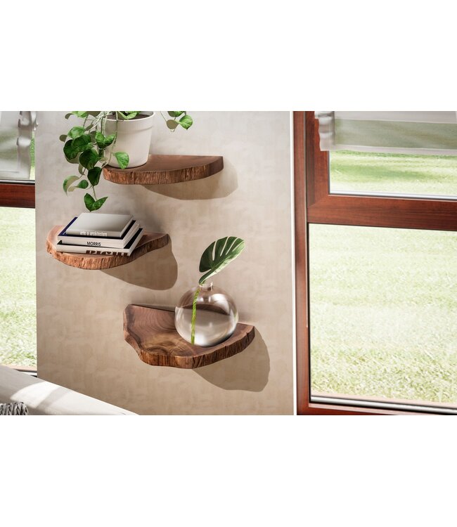 Wohnling Wandplanken Set van 3 Acacia Massief Houten Hangplanken Boomschijf | Natuurlijke plantentrap voor aan de muur | Zwevende plank hangend met boomrand | Bloemtrap boomstam modern
