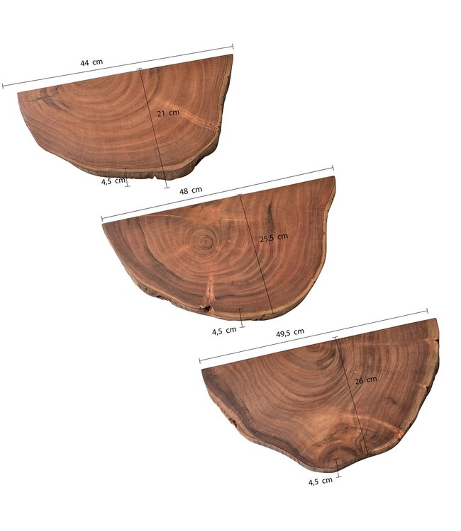 Wohnling Wandplanken Set van 3 Acacia Massief Houten Hangplanken Boomschijf | Natuurlijke plantentrap voor aan de muur | Zwevende plank hangend met boomrand | Bloemtrap boomstam modern