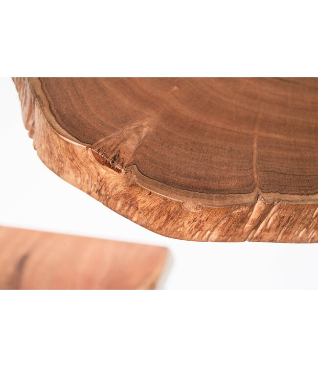Wohnling Wandplanken Set van 3 Acacia Massief Houten Hangplanken Boomschijf | Natuurlijke plantentrap voor aan de muur | Zwevende plank hangend met boomrand | Bloemtrap boomstam modern