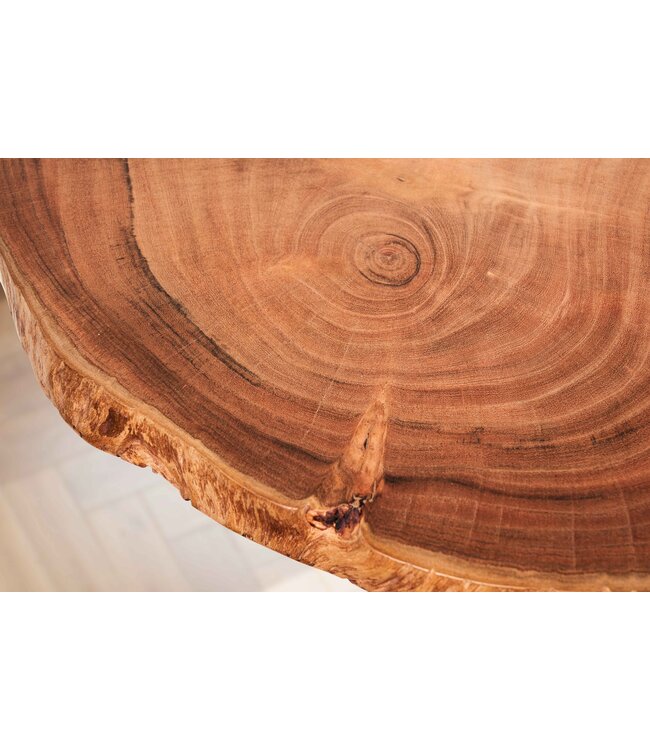 Wohnling Wandplanken Set van 3 Acacia Massief Houten Hangplanken Boomschijf | Natuurlijke plantentrap voor aan de muur | Zwevende plank hangend met boomrand | Bloemtrap boomstam modern