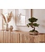 Wohnling Dressoir Acacia Massiefhout 180cm - Dressoir met 4 deuren - Commode modern design - Kast Houten commode Handgemaakt