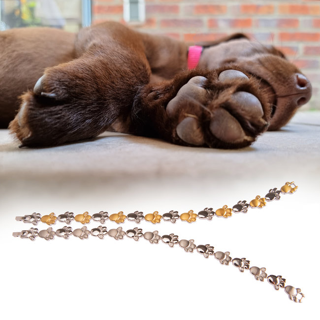 Magneet-Armbanden.nl Magneetarmband Labrador