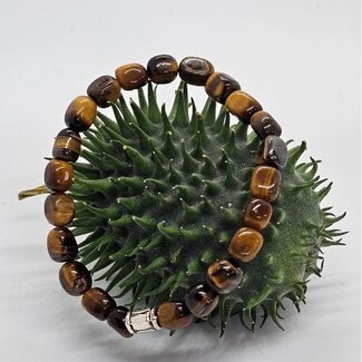 Magneet-Armbanden.nl Natursteinarmband Tigerauge XL