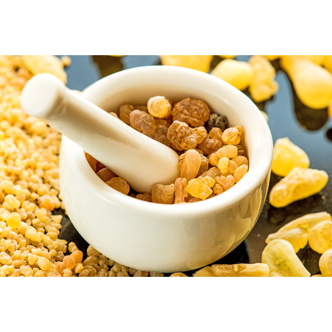 Boswellia serrata (wierookboom)