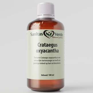 Crataegus Oxyacantha (Meidoorn)