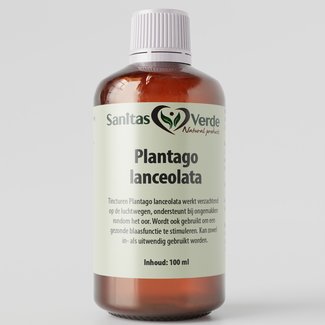 Plantago Lanceolata (Smalle weegbree)