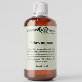 Sanitas Verde Ribes Nigrum (zwarte bessen) 100 ml
