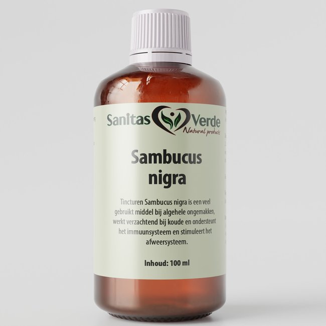 Sambucus Nigra (zwarte vlier)