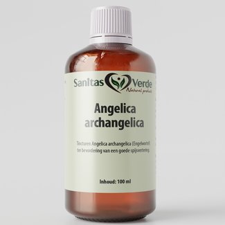 Sanitas Verde Engelwurz (Angelica archangelica) Tinktur 100 ml