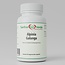 Alpinia Galanga Extract – 500 mg – Natural Herbal Extract from the Ginger Family – 60 Vegetarian Capsules
