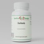 Berberis Extract – 500 mg – Traditional Ayurvedic herb – 60 plant-based capsules