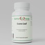 Guaveblad Extract – 500 mg – Natuurlijk Supplement voor Weerstand, Spijsvertering & Vitaliteit – 60 Plantaardige Capsules