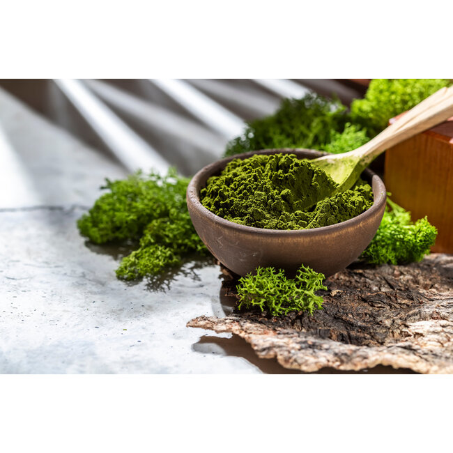 Chlorella Extrakt  90 Vegane Kapseln à 500 mg  Natürliche Entgiftung & Energiequelle mit Chlorophyll und Antioxidantien*