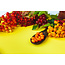 Co-Enzym Q10 90 vegane Kapseln 500 mg  Natürliche Energie- und Zellschutzformel mit Coenzym Q10 und Vitamin E*