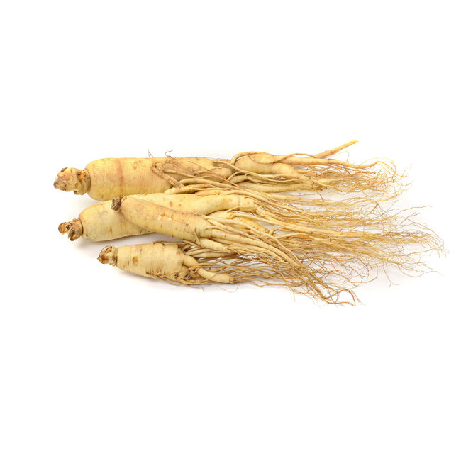 Dong Quai (Angelica sinensis) 90 vegane Kapseln 500 mg