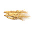 Dong Quai – Angelica sinensis Extrakt 500 mg – Traditionelles chinesisches Kraut – Weiblicher Ginseng – 60 vegetarische Kapseln