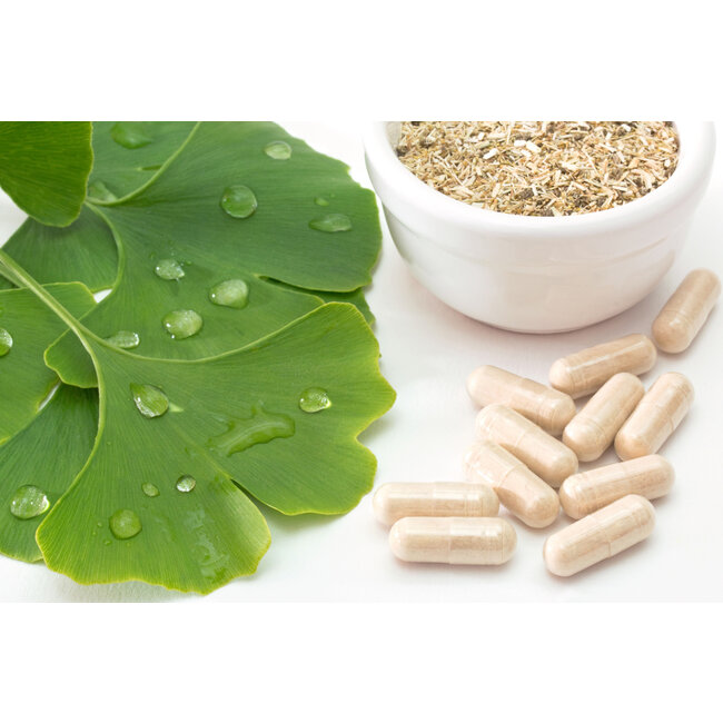 Ginkgo Biloba Extract  90 Vegan Capsules à 500 mg  Ondersteunt concentratie, geheugen en doorbloeding*