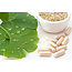 Ginkgo Biloba Extract – 400 mg – Natural Support for Memory, Focus & Circulation – 60 Vegetarian Capsules