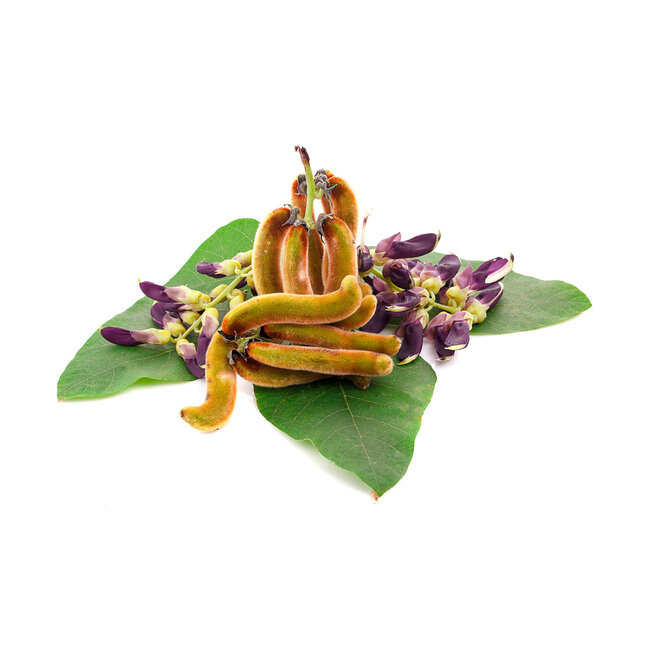 Mucuna Pruriens extract rijk aan L Dopa voor stemming en zenuwstelsel ondersteuning* 90 vegan capsules