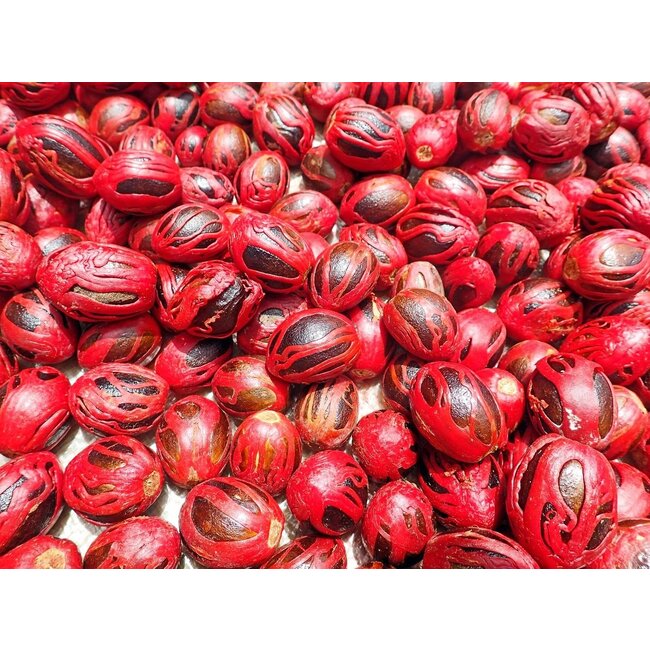 Nervitone 90 vegan capsules met natuurlijke extracten  ondersteuning van het zenuwstelsel en innerlijke rust*