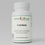 Scutellaria Extrakt Unterstützung des Immunsystems und der natürlichen Balance 60 vegane Kapseln 500 mg