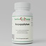 Devil’s Claw (Harpagophytum) Extract – 500 mg – Traditional African herb – 60 plant-based capsules