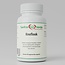 Fermented Garlic (Black Garlic) – 500 mg – Natural & Odorless – 60 Vegetarian Capsules
