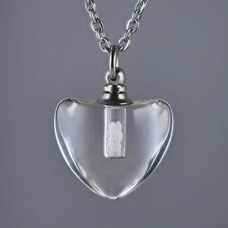 DNA Sieraad Pure Liefde Hartje