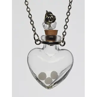 DNA Jewelry Queen Heart