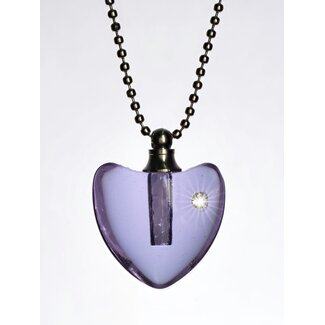 DNA Sieraad Paars Hartje