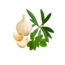 Bact-O-Vir 90 vegane Kapseln 500 mg  Natürliche Formel mit Knoblauch, Oregano und Olivenblatt zur Unterstützung der Abwehrkräfte*