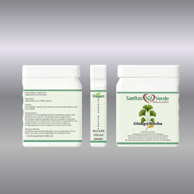 Ginkgo Biloba Extract  90 Vegan Capsules (500 mg)  Supports Memory, Focus & Circulation*