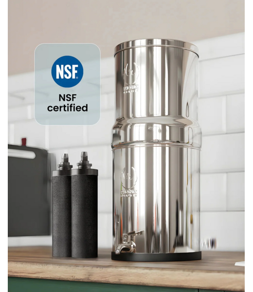 Phoenix Gravity Phoenix Gravity 6L Stainless Steel Water Filter