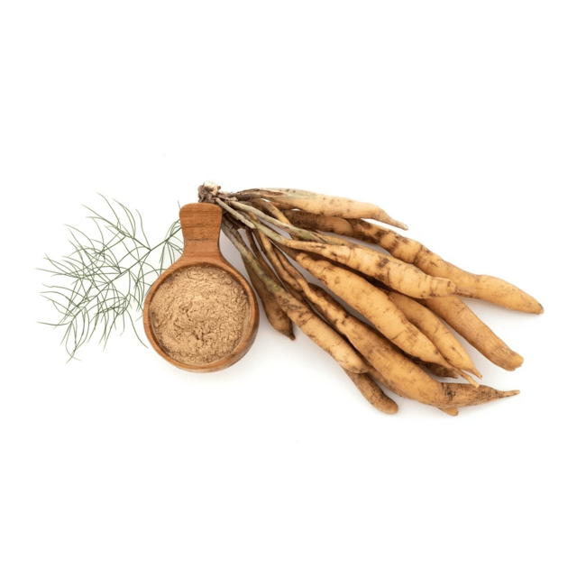 Shatavari Asparagus racemosus extract in 90 vegan capsules for female balance and vitality*